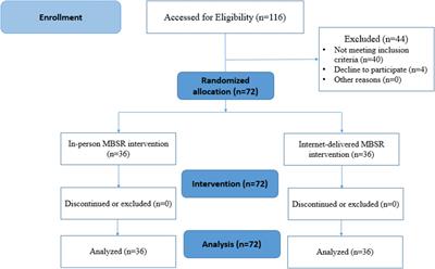 Comparison of the effects of in-person and internet-delivered mindfulness-based stress reduction on the burden of psychosomatic symptoms in nurses